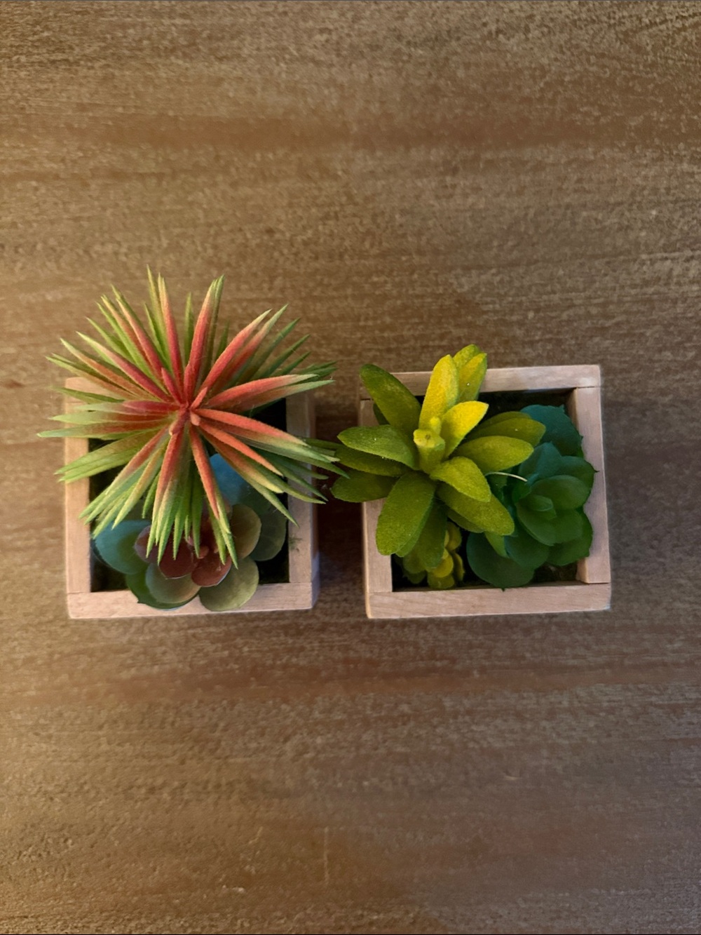 Artificial Succulent Duo in Wooden Planters - Green & Coral Accent